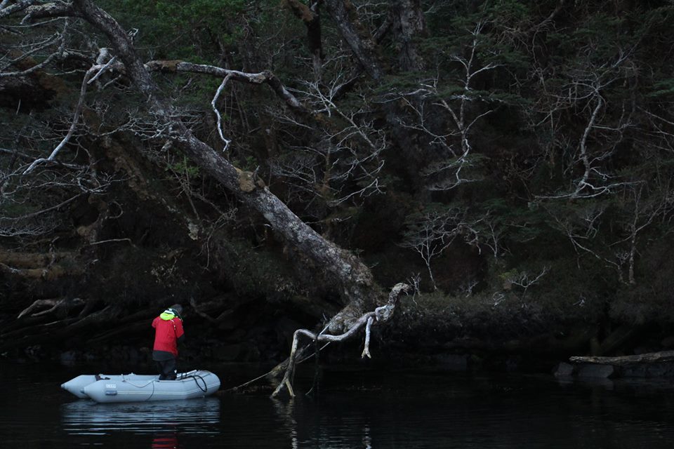 Un marin en forêt