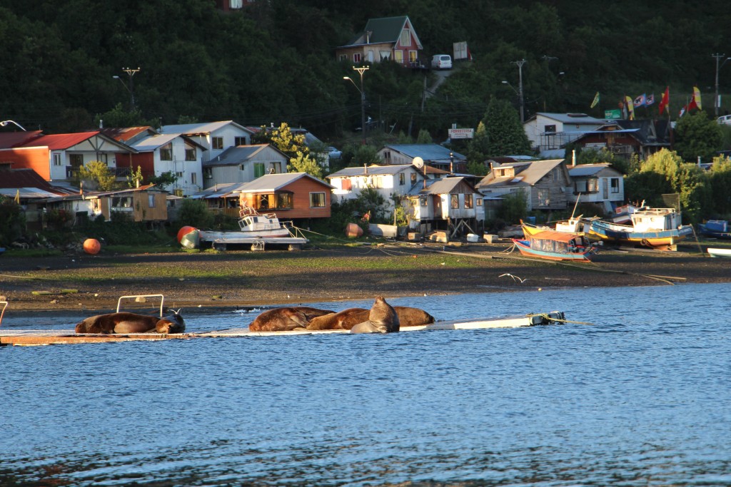 Devant la marina de Puerto Montt