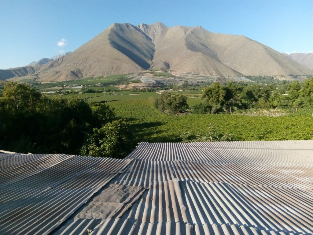 Vicuna, vallée de l'Elki