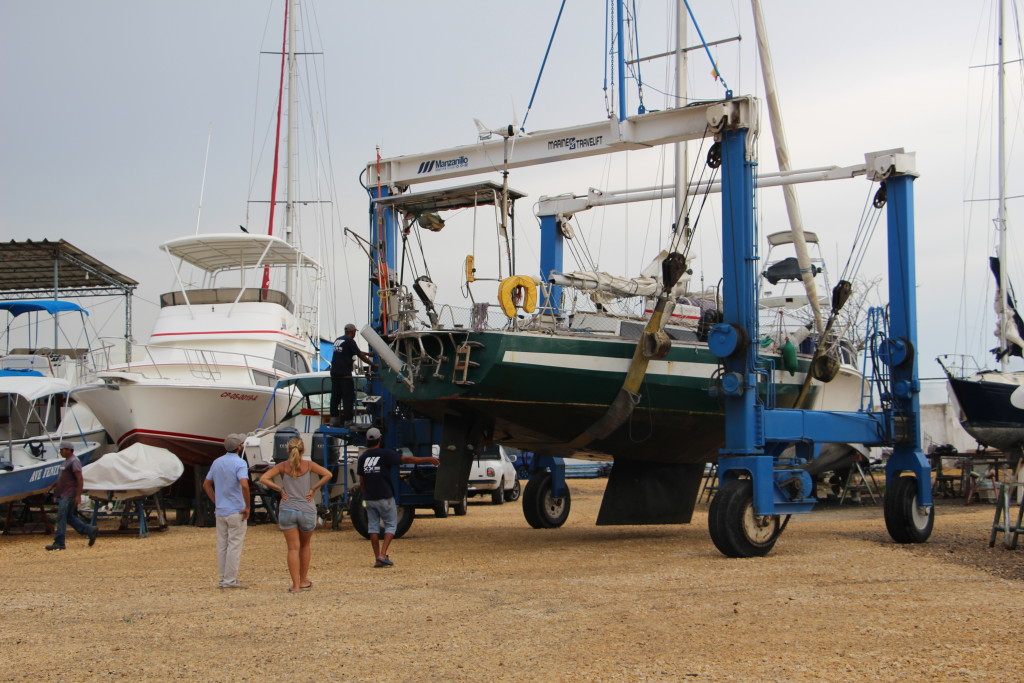 Géraldine et Tortuga, hors de l'eau